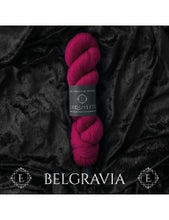 Load image into Gallery viewer, WYS Exquisite 100g