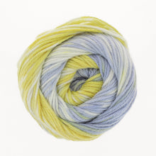 Load image into Gallery viewer, King Cole Fjord DK 100g