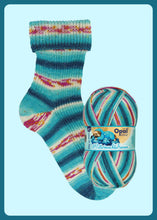 Load image into Gallery viewer, Opal Midnight Dream 4ply 100g
