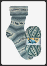 Load image into Gallery viewer, Opal Midnight Dream 4ply 100g
