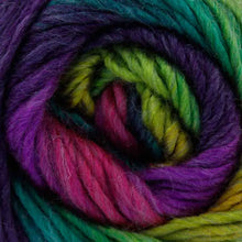 Load image into Gallery viewer, King Cole Riot Chunky 100g
