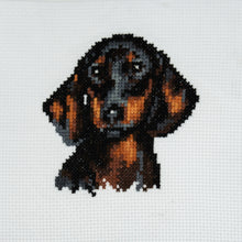 Load image into Gallery viewer, Trimits Cross Stitch Kit: Dachshund
