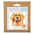 Trimits Counted Cross Stitch Kit: Mini: Golden Retriever