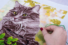 Load image into Gallery viewer, Trimits Counted Cross Stitch Kit: Large: Cat
