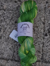 Load image into Gallery viewer, Wool and Moor Hand Dyed in Devon 4ply Sock Yarn 100g
