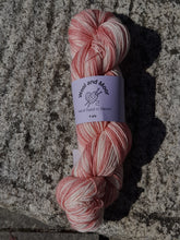 Load image into Gallery viewer, Wool and Moor Hand Dyed in Devon 4ply Sock Yarn 100g
