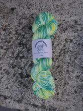 Load image into Gallery viewer, Wool and Moor Hand Dyed in Devon 4ply 100g
