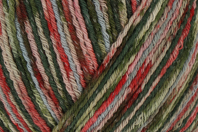 Regia Colours of the World Cotton 4ply