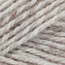 Load image into Gallery viewer, Patons Wool Blend Aran 100g
