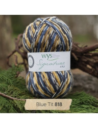 WYS Signature 4ply - Country Birds 100g