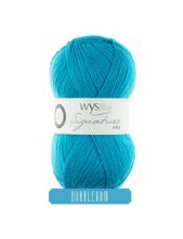 Load image into Gallery viewer, WYS Signature 4ply - Sweet Shop Range 100g
