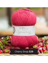 Load image into Gallery viewer, WYS Signature 4ply - Sweet Shop Range 100g
