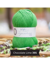 Load image into Gallery viewer, WYS Signature 4ply - Sweet Shop Range 100g
