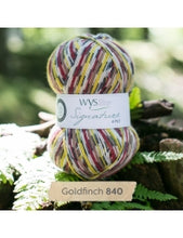 Load image into Gallery viewer, WYS Signature 4ply - Country Birds 100g
