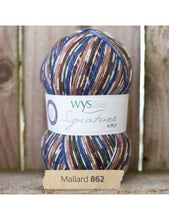 Load image into Gallery viewer, WYS Signature 4ply - Country Birds 100g
