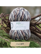 Load image into Gallery viewer, WYS Signature 4ply - Country Birds 100g
