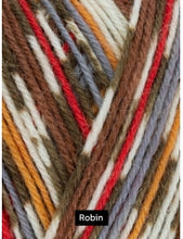 Load image into Gallery viewer, WYS Signature 4ply - Country Birds 100g
