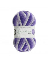 Load image into Gallery viewer, WYS Signature 4ply - Winwick Mum 100g
