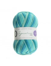 Load image into Gallery viewer, WYS Signature 4ply - Winwick Mum 100g
