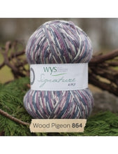 Load image into Gallery viewer, WYS Signature 4ply - Country Birds 100g
